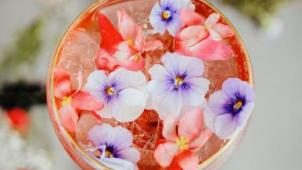 Le flower spritz : la nouvelle boisson à tester cet été