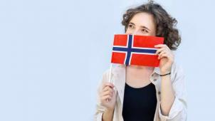 La formation continue des pays scandinaves :  pour plus de flexisécurité ?