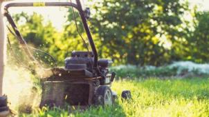 Pourquoi vous ne devriez pas tondre votre pelouse pendant le mois de mai