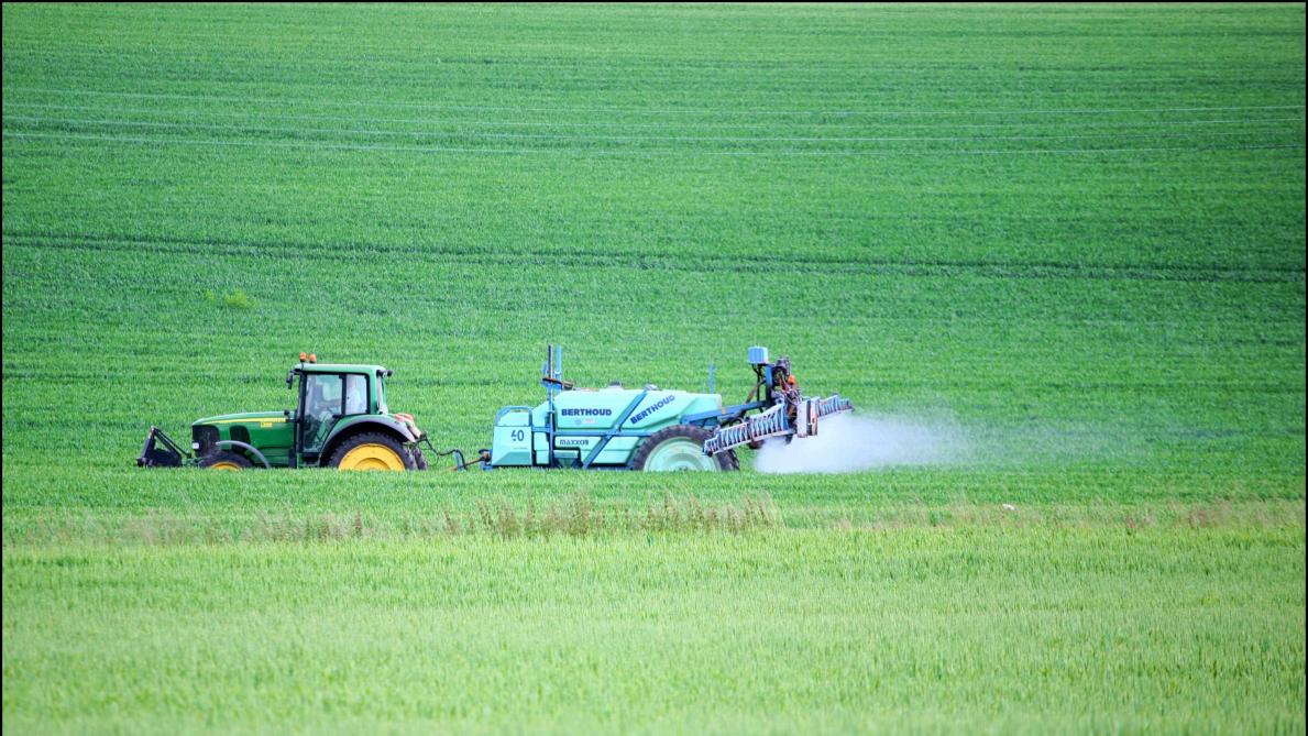 «Tous les enfants belges sont exposés aux pesticides», prévient une étude de Test-Achats