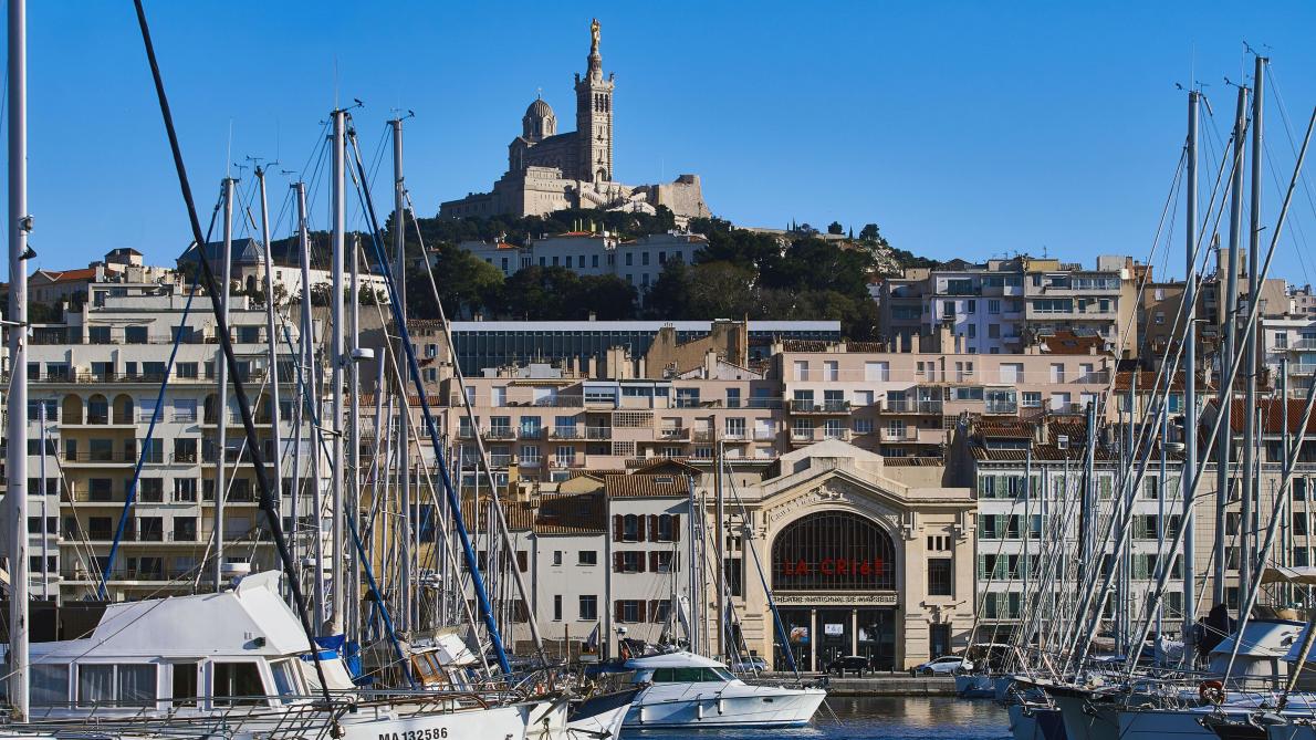 Un dauphin a été aperçu dans le Vieux-Port à Marseille