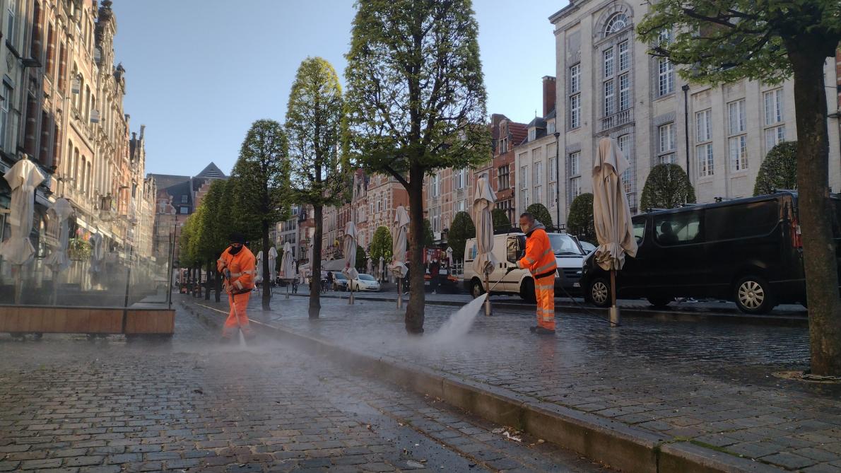 Une ville belge lutte contre une invasion de souris : dix établissements fermés par l’Afsca