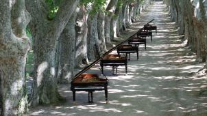 Les pianos alignés sous les platanes. © D. De Winter