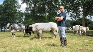 Pour Guy Bernard, les vaches de race Blanc-bleu belge peuvent contribuer à sortir les éleveurs de la crise.