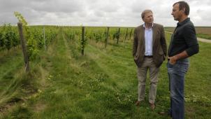 Pour Pierre Rion (à gauche), le label «
Vin 100
% belge
» n’est pas nécessaire, mais il ne peut pas faire de tort. © Alain Dewez - Le Soir