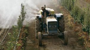 Les pertubateurs endocriniens sont particulièrement présents dans les pesticides utilisés dans l’agriculture.
