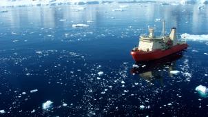 Le «
Nathaniel B. Palmer
», en 2010, dans la baie de Barilari près de la péninsule antarctique. C’est sur ce brise-glace qu’embarqueront les six Belges. © National Science Foundation.