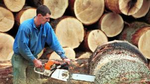 La demande en bois labellisé est forte mais pourrait encore progresser. Et il y a encore de la place pour une augmentation de l’offre locale. © Geoffroy Libert.