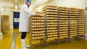 Parmi les fondateurs de la coopérative, le fabricant de fromages «
Herve-Société
». © Michel Tonneau
