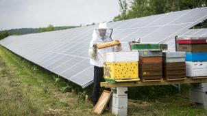 D’autres projets favorisant la biodiversité, 
comme l’installation de ruches installées il y a peu, 
verront le jour non loin du site.
