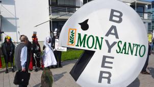 Dès l’annonce du rachat, la mauvaise réputation de Monsanto a été pointée du doigt par les analystes comme l’un des principaux facteurs de risque pour Bayer.