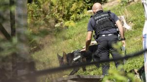 La police a interpellé un suspect de nationalité néerlandaise, après quelques heures de recherche dans les rues et les environs de Spa.