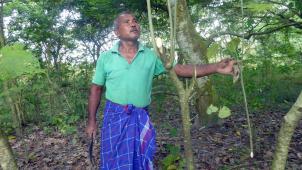 Jadav « Molai » Payeng, 59 ans, dans «
sa
» forêt sur une petit île du fleuve Brahmapoutre, qu’il rejoint chaque matin en barque. Il rejoint son domicile, sur la terre ferme, tous les après-midi à 15 heures.