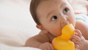 Les phtalates sont pointés par l’étude
: on les retrouvent notamment dans les jouets mous qu’un enfant peut prendre en bouche.
