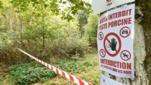 L’interdiction de circuler sur les chemins forestiers de Gaume, et uniquement sur ces chemins, sera levée le 6 avril.