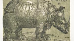 Albrecht Dürer, «
Le Rhinocéros
», Gravure sur bois, 1515.