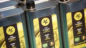 L’huile de chanvre est vendue 9 euros les 25
cl et serait meilleure pour la santé que l’huile d’olive.