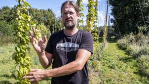 Christophe Speltiens a récolté 15 kilos de houblon cet été.