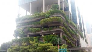 L’hôtel Parkroyal est sans doute le plus beau bâtiment de Singapour à l’heure actuelle. La végétation y est tout simplement impressionnante. Pascal Smet a pu l’apprécier de près.