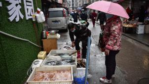 Le port du masque est désormais obligatoire pour chaque activité extérieure - ici, un vendeur de poissons et de tortues à Wuhan.