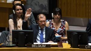 L’ambassadeur Marc Pecsteen de Buytswerve est le représentent de la Belgique au Conseil de sécurité.