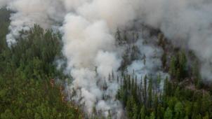 En Sibérie, les incendies de forêts commencent à prendre des proportions de plus en plus inquiétantes.