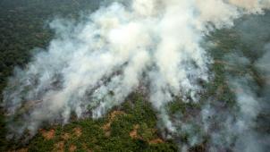 Ratifier l’accord irait à l’encontre de la préservation de l’Amazonie abondamment touchée par les incendies ces derniers mois.