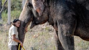 Il y a quelques années, Stéphanie a sauvé deux éléphantes de l’euthanasie en les recueillant chez elle.