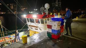 Sur les 4 milliards au total de la tranche prévue cette année, 600 millions sont prévus pour compenser les revenus de la pêche dans les eaux britanniques, où les captures vont devoir diminuer.