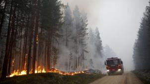 En raison du manque de biodiversité, des incendies dus au réchauffement climatique ont consumé 25.000 hectares de forêt, phénomène plutôt inhabituel à ces latitudes.