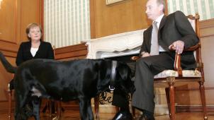 En 2007, Vladimir Poutine avait accueilli Angela Merkel avec son énorme labrador, alors qu’il est de notoriété publique que la chancelière allemande n’est pas à l’aise en présence de chiens.