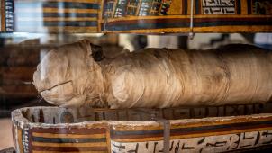 Osirmose, un dignitaire égyptien vieux de 2700ans, vient d’offrir à la Belgique une des plus belles découvertes archéologiques de ces dernières années autour de la civilisation égyptienne.