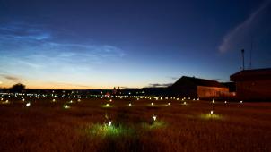 Des lampes solaires et des drapelets ont été disposés aux endroits où ont été découvertes plus de 750 autres tombes anonymes, à Marieval, au Saskatchewan.