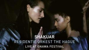shakuar-residentie-orkest-the-hague-2021-live-at-gnawa-festival-cd-235