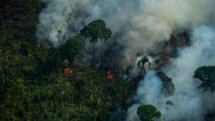 BRAZIL-UN-COP26-CLIMATE-AMAZON