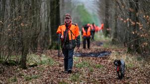 En France, les accidents de chasse se multiplient, en Belgique, ils sont rarissimes.