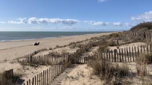 Parfois, la plage est relativement intacte. On a tenté de fixer la dune avec des «ganivelles», des pieux de bois fichés dans le sol et qui retiennent le sable.