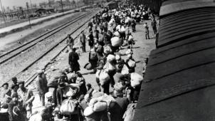 Arrivée des Juifs hongrois à Auschwitz-Birkenau.