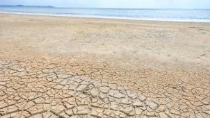 A Frontignan, en France, le sol se fissure en raison de la sécheresse et du manque d