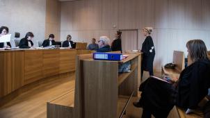 Au tribunal correctionnel de Liège, en cette audience de tout-venant, comparaissaient un jeune prévenu de rébellion envers des policiers violents et une squatteuse exigeant son emprisonnement après un vol de vêtements.