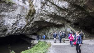 L’offre reprend des opérateurs très connus comme les grottes (photo) et le parc de Han-sur-Lesse ou Plopsaland. Mais aussi des attractions plus discrètes comme le musée de la Lessive à Spa ou le musée de la Cloche à Tellin.