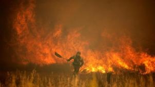 L’été ne fait que débuter, mais des feux de forêt ont déjà eu lieu, en juin, dans le sud de l’Europe, notamment en Espagne et en France.