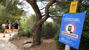 Le parc national des Calanques, au sud de Marseille, limite l’accès en été.