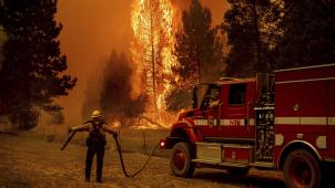 Fin juillet, les pompiers californiens luttent contre un incendie aux portes du parc Yosemite.
