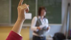 Entre les différentes régions, les élèves du primaire sont inégaux en matière de cours de néerlandais.