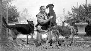 Céline avec ses chiens, à Meudon vers 1955.