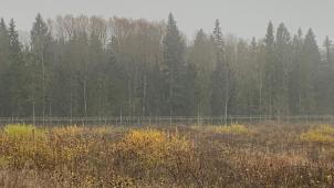 Sur les 680 km de frontière la séparant de la Biélorussie, 450 km de clôture de deux mètres de haut et surmontés de barbelés ont déjà été érigés.
