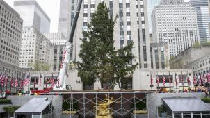 USA NEW YORK CHRISTMAS TREE (4)