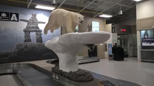 Dans le grand nord, les ours blancs ne seront-ils plus bientôt que des statues, comme à l’aéroport de Yellowknife?