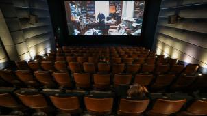 En 2021, la Belgique comptait 75établissements exploitant, à titre principal, une salle de projection cinématographique (chiffres Statbel).